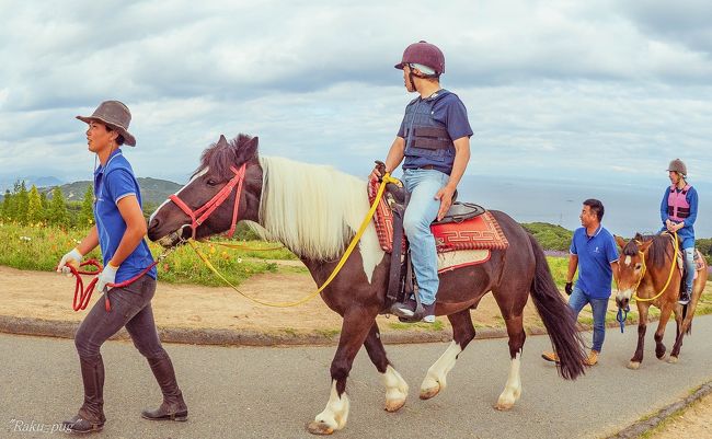 　淡路島　花桟敷<br /><br />　今年の初め　淡路島　花桟敷へ来た時　工事　していたのですが<br /><br />　少しずつ　進んでいるようです。<br /><br />　乗馬や　お買い物センターなど　広く　なっていて<br /><br />　楽しみです。<br /><br />　馬の短い足が　何とも言えず　可愛いです・・・<br /><br />　涼しくて　心地良かったです。