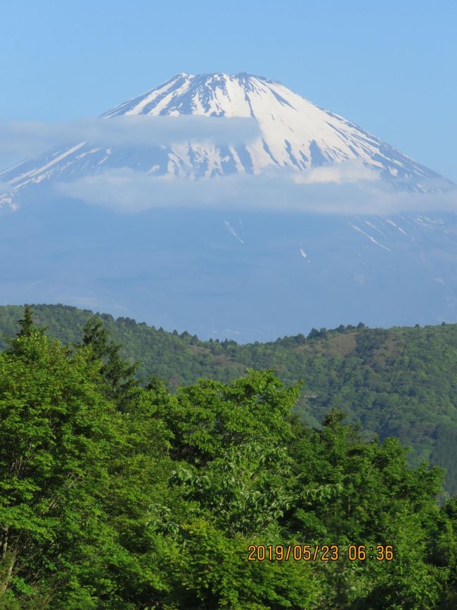 5月23日、午前6時30分頃にホテルの富士山ビュースポットを見ると沢山の宿泊客が出ていたので当方もカメラを持参してホテルの庭に出ました。　ビュースポットからは美しい富士山が見られました。　今回の旅の目的がかなえられたと思い何枚も写真撮影をしました。<br /><br /><br /><br />＊写真は美しかった富士山