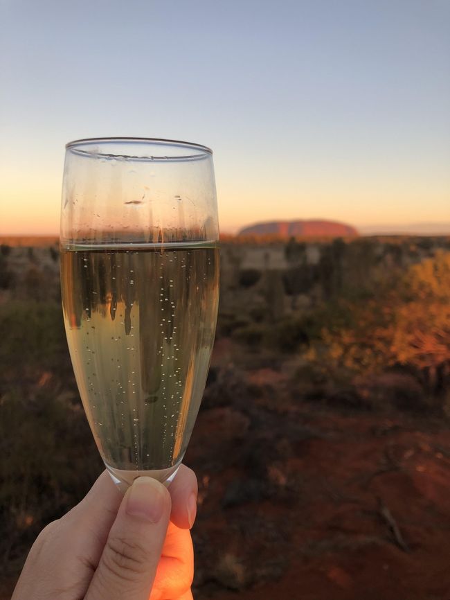 2019年の一人旅は、南半球初上陸<br />相変わらずの飲んだくれ道中記。<br /><br />行きたかった2019年10月でウルル登山が禁止決定している一方、終了したと思っていたfield of lightが2020年まで延長していることを知り、この機会を逃してはならない!の一念で、オーストラリアに4泊6日のスケジュールで初上陸。<br /><br />オーストラリアの国内線移動に自信がなかったので、JALパックのツアーに申し込み。エアとホテル、送迎とウルル観光付きで、効率よく回れました。<br /><br />オーストラリアの雄大な自然はもちろん素晴らしい中、何より感動したのは「空」<br />特にマジックアワーと言われる日没後の時間は刻々と空の色が変化しとても幻想的でした。 <br /><br />運よくvivid sydneyの期間にも当てはまり、プロジェクトマッピングも満喫。<br /><br /><br />旅のめあて<br />①ウルルに登る<br />②Field of lightに行く<br />③南十字星とカノープスを見る<br />④vivid sydnyを見物する<br />⑤opra houseの中に入る<br />⑥Applepayで電車に乗る<br />⑦生ガキを食べる<br /><br />~旅行記一覧~ (順次作成)<br /><br />■2019年6月 南半球初上陸 ウルルとシドニーひとり旅 1,2日目<br />・成田~シドニー~エアーズロックへ移動<br />・エアーズロックリゾートを散策<br />・Field of lightの現地ツアーに参加<br />・アウトバックパイオニアホテルでBBQ<br /><br />https://ssl.4travel.jp/tcs/t/editalbum/edit/11504127/<br /><br />■2019年6月 南半球初上陸 ウルルとシドニーひとり旅 3日目<br />・ウルル サンライズと登頂、クニヤ・ウォーク(ツアーに込み)<br />・カタ・ジュタ観光とウルルのサンセット(ツアーオプション)<br /><br />https://ssl.4travel.jp/tcs/t/editalbum/edit/11504720/<br /><br />■2019年6月 南半球初上陸 ウルルとシドニーひとり旅 4日目<br />・エアーズロックリゾート散策<br />・エアーズロック~シドニーへ移動<br />・ビビッドシドニー散策<br /><br />https://ssl.4travel.jp/tcs/t/editalbum/edit/11505318/<br /><br />■2019年6月 南半球初上陸 ウルルとシドニーひとり旅 5日目<br />・シドニー市内観光<br />・地下鉄・フェリー乗車<br />・シドニー夜景シャトルバス乗車<br /><br />https://ssl.4travel.jp/tcs/t/editalbum/edit/11506035/<br /><br /><br />