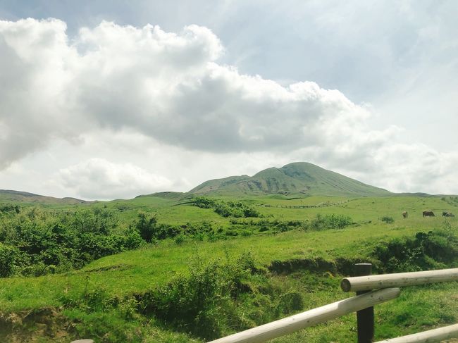 ５月は新緑が綺麗な季節。阿蘇山の緑は爽やかで癒されました。