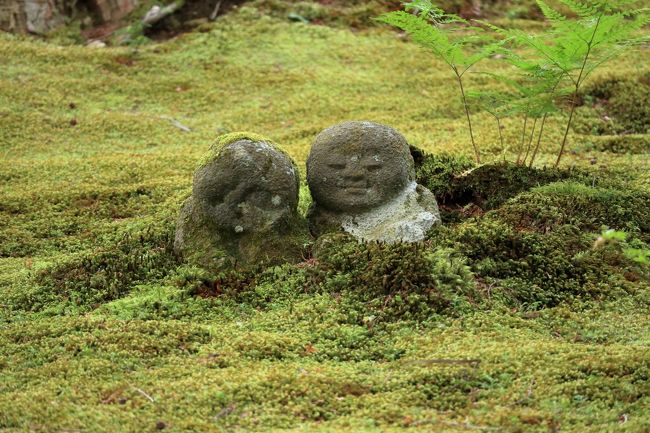 いつも送られてくるツアーパンフレットに、苔と青モミジの社寺を巡るツアーが目に留まり行くことに。<br />京都は、よくマイカーで出かけており、今回の訪問する社寺も何回か行ったことのあるところもありましたが、ツアータイトルに魅せられ決定となりました。<br />この時期の苔とモミジの緑は本当に素晴らしく綺麗で、同じ時期や違う時期に再三訪れていても、また違った趣があり、素晴らしい1日となりました。<br /><br />以下は、ツアー日程となります。<br /><br />出発地 8:30発==中国道・西宮名塩(20分休憩)==奥嵯峨 祇王寺(1時間参拝)==叡山電車・出町柳駅ーー(「ひえい」10分乗車)ーー宝ヶ池駅==岩倉実相院(30分参拝)==大原三千院(1時間30分参拝)==貴船神社(45分参拝)==名神道・吹田SA(20分休憩)==出発地 20:00着<br />昼食は、車内の弁当でした。<br /><br />あまりバスツアーには参加していない私ですが、そこそこの年齢にもなり、最近高齢者の車事故が多く報道されており、バスツアーの良さを考えられさせられたツアーでもありました。