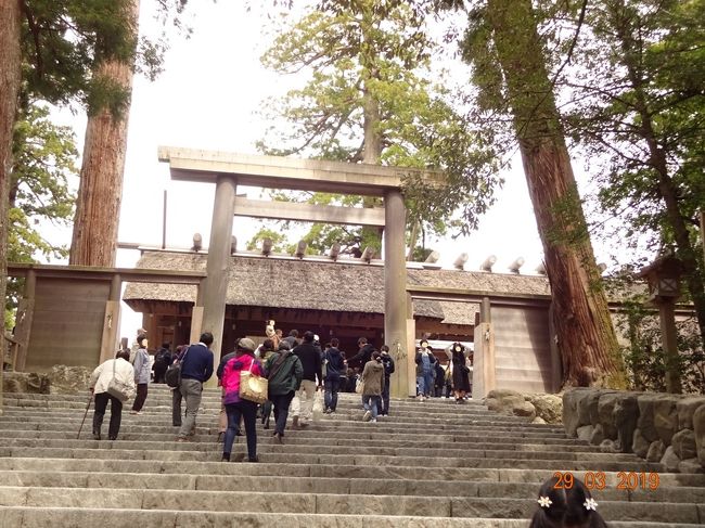 以前からずっと行ってみたかった山陰地方。今回の日本里帰りが同行家族なしの私一人ということで、あちこち日本を回るのは今しかない!と旅行する事にしました♪<br /><br />2019年3月<br />23日、錦帯橋と宮島<br />24日、山口満喫編。角島大橋、元乃隅神社、秋吉台に山口駅近辺<br />25日、津和野の太鼓谷稲成神社、玉造温泉<br />26日、出雲大社<br />27日、石見銀山と小豆原埋没林<br />28日、玉造の出雲玉作資料館と松江<br />29日、伊勢神宮<br /><br />旅行記6冊目は、最終日、伊勢神宮編です。