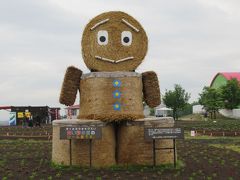 新緑の北海道（１２）【富良野・美瑛】ジェットコースターの路を通って色彩の丘へ