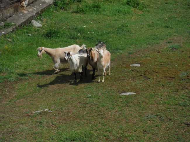 2019年5～6月国々の中で生き抜くブルガリア縦断横断６　リラ村を街歩きしてから僧院へ