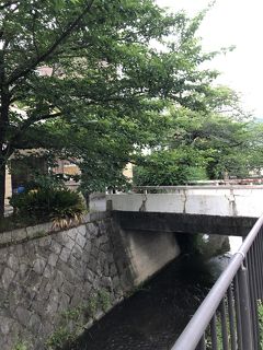 新緑の京都③～京都グルメ☆～