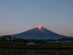 今年初めての山中湖ロッジ滞在　～田んぼに映り込んだ富士山を狙って～