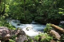 ２０１９夏の青森３泊４日★２ 奥入瀬渓流を散策