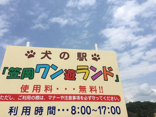 岡山県笠岡市の道の駅ベイファームのドッグランに行ってみました。<br /><br />ドッグラン→ポピーcafe