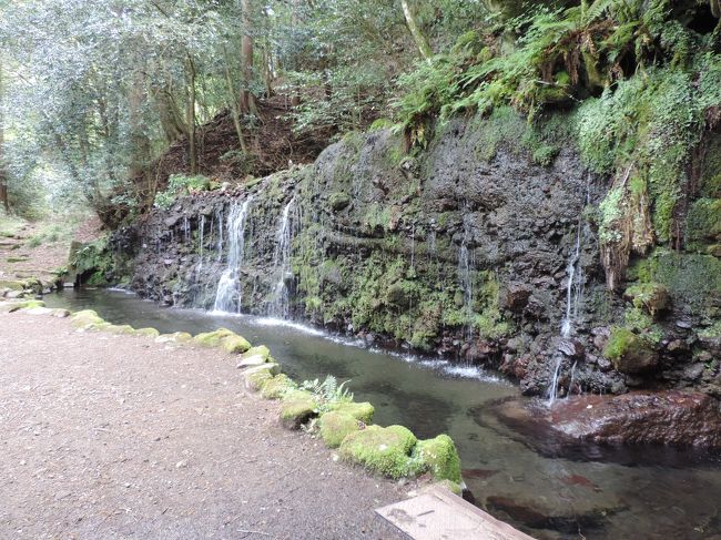 大人の遠足その１　「新緑の中、山と滝を楽しむ　鷹巣山・飛竜ノ滝」　小涌谷から畑宿縦断コース