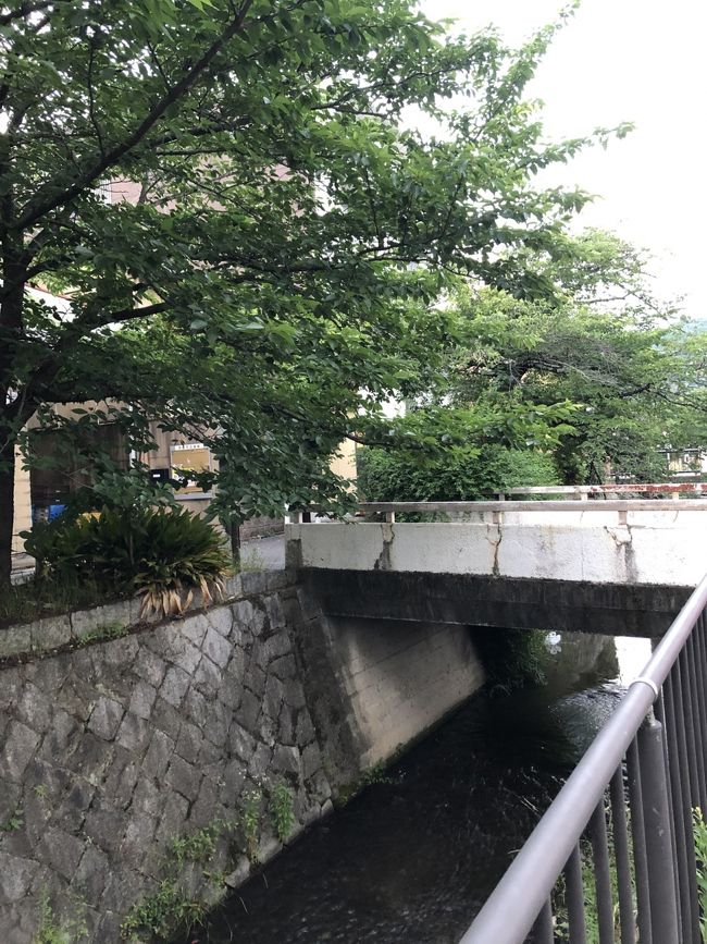 新緑の京都をプラプラ、美味しいものを食べに行きました！これまでラーメンばかり食べてましたが、ようやくおばんざいや京野菜のカレーなど京都らしいものも☆笑