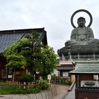 高岡大仏と射水神社
