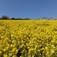 2019年3月淡路島　かんぽの宿淡路