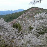 2019年4月吉野山・奈良