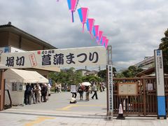 Tokyo葛飾区【40周年堀切菖蒲園】梅雨時期の花菖蒲が奇麗　6月/2019