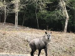 奥大井のんびり5日間(3日目)