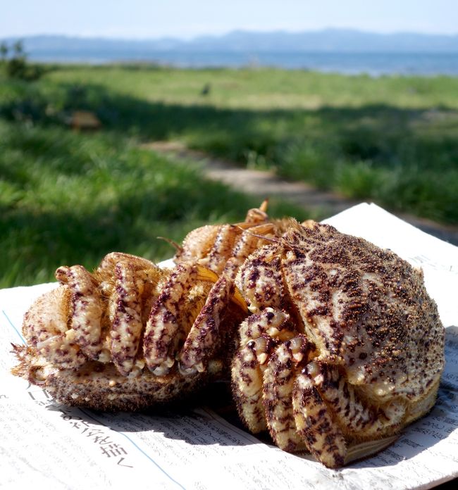 春が来たぜよ青森 野辺地 夏泊 車中泊してトゲクリガニを食べる の巻 青森市内 青森県 の旅行記 ブログ By ハナコさん フォートラベル