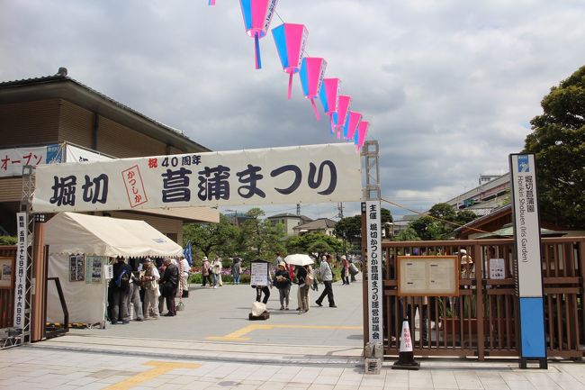 40周年堀切菖蒲園にサイクリングで、菖蒲見に行きました。<br />入園料無料です。<br />現在、約200種類、6000株で、見ごろ時期でした。<br /><br />