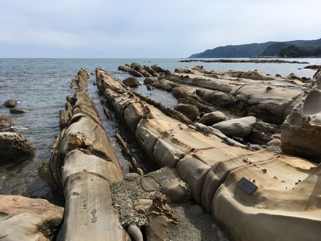 台風情報でよく話題になる足摺岬へ足を伸ばしてみた③(竜串海岸に寄って空港へ）