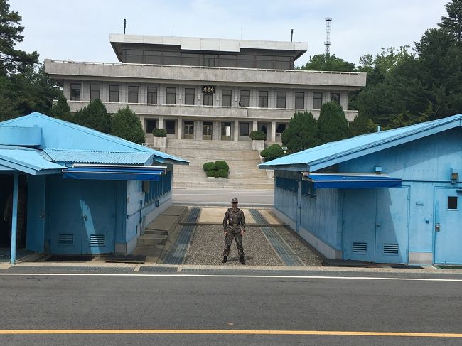 日本の関東地方より梅雨入りが遅いソウル、昨年のこの時期に旅して少しひんやりした乾燥した空気で過ごしやすい季節と知り、今年もリピートしてオンニ(お姉さん)たちと賑やかに過ごしました。<br />事前の情報収集は4トラベル旅行記やYouTubeで行いました、旬の情報をアップしてくれる4トラ皆さんやYouTuberさんに感謝です。<br />旅の楽しみは食、食べ物中心の旅行記です。<br /><br />後編では5月から再開されたJSA見学ツアーの様子を載せます。