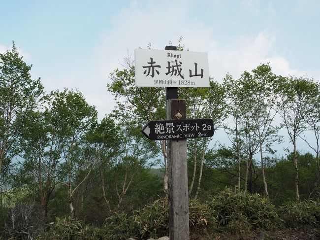 赤城山登山<br /><br />赤城神社で参拝<br />↓<br />赤城山登山<br />↓<br />ツツジ鑑賞