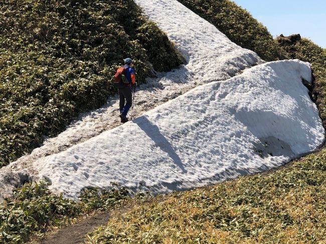 雪が少なかった今年の北海道。<br />例年、4月半ば過ぎでも、かなりの雪が残っていて、登山道は溶けかかった雪にずぼずぼ埋まるか、融けた雪でぐちゃぐちゃドロドロになっているんだけど、今年はどうだろう、と今シーズンの山登りスタート。<br /><br />我が家の登山スタートは、地元の室蘭岳かお隣の伊達紋別岳。<br />室蘭岳は事前に、登山道がぐちゃぐちゃで歩きにくいとの情報をGETしていたので、イチかバチか伊達紋別岳へ。<br /><br />お花は全く期待できない時期なので、修行覚悟のスタートです。<br />（簡単な山だけど、楽しみが無くひたすら上れ登れは修行と同じです。^^;）