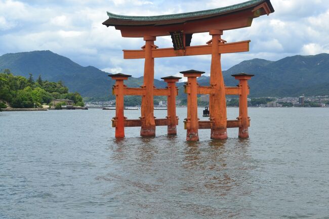 広島県の安芸の宮島、山口県の錦帯橋・元之隅神社・萩・角島大橋、島根県の津和野を巡る２日間の旅に行ってきました。