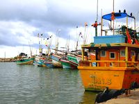 2018年 10月　スリランカ・タンガッラ　ローカルエリア&漁港ぶらぶら