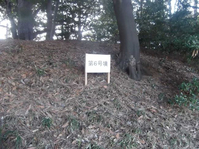 知る人は多くないように思うのですが,東京都大田区に古墳群があります.探訪してきました.古墳展示室(無料)もあり,なかなか充実した展示内容でした.<br /><br />詳しい写真付き「多摩川台古墳群」記事: http://inoues.net/ruins/tamagawadai.html<br />荏原台古墳群Wikipedia: https://ja.wikipedia.org/wiki/荏原台古墳群