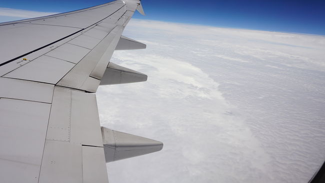 GW最終日に決定したグアム旅行<br /><br />半年間のワンオペ育児、家事に仕事<br />疲れきった体を癒しに行ってきました!<br /><br />まだまだ卵アレルギーなムスメを連れて