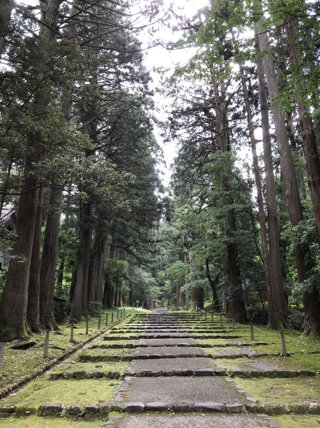 6月の旅  ⑨  ～  平泉寺と勝山市