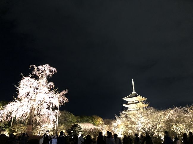 マイルが貯まったので、家族旅行で京都へ行ってきましたー。