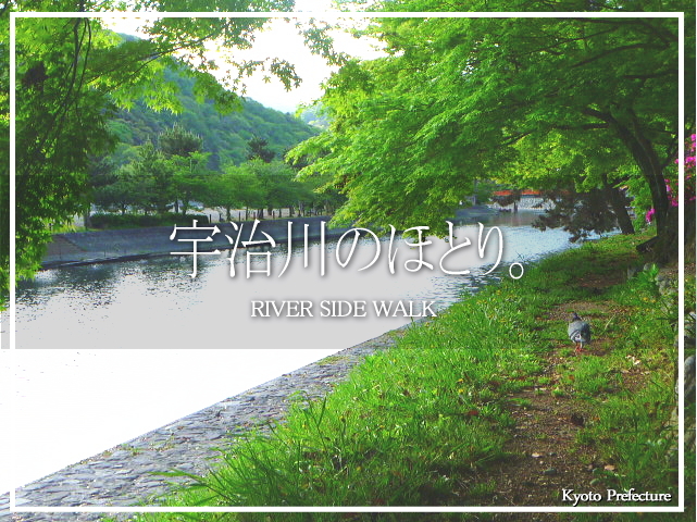 春はあけぼのとはよく言ったもので。早朝のお散歩は、とても気持ちよく。<br />静かな自分時間を過ごすには、まさに最適。