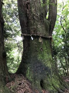 6月の旅  ⑫  ～  白山比咩神社