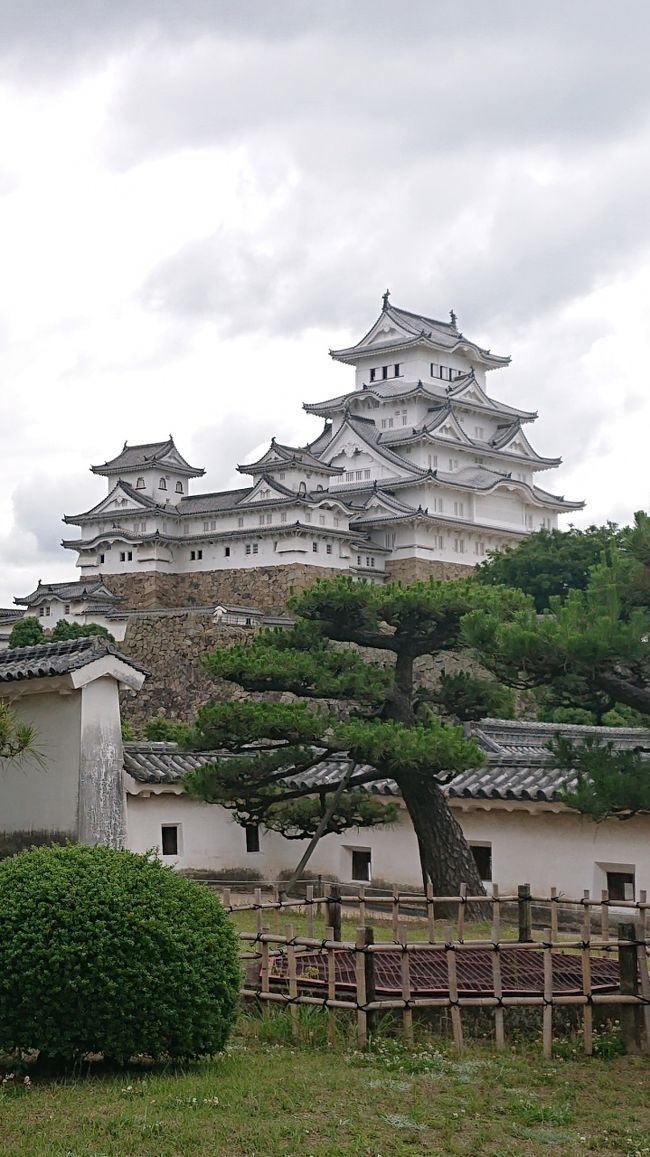 関西の観光地を完全制覇したいと思っているためその一貫として兵庫県姫路市にある世界文化遺産 姫路城に行って来ました！<br />姫路城は白鷺城とも呼ばれ日本一大きなお城です。<br />戦時中の姫路大空襲で姫路市内は、焼け野原になってしまいましたが、姫路城は奇跡的に戦火から免れることができました。その後も何度かの大改修をへて現在までドシッとした大きくて美しい現在の姫路城の姿を保ち続けています。
