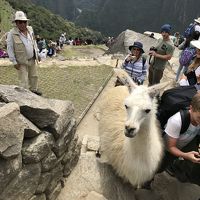 南米ペルー　マチュピチュ観光  素敵なインカの遺跡