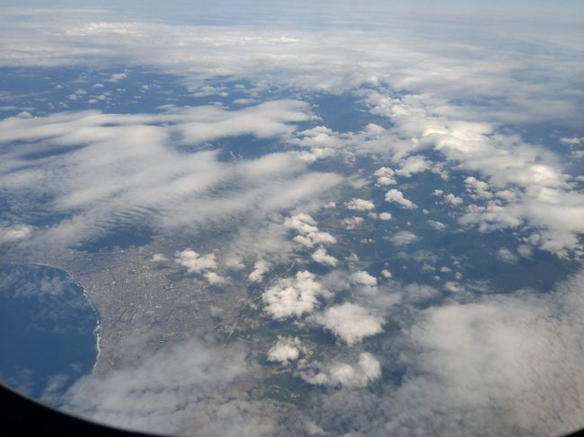 北海道からの帰りの便も、2日前にアップグレードできたので、<br />プレミアムクラスを利用できました。<br />混雑していたので、ゆったりできたのはよかったですね。