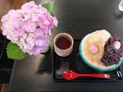 晴れた日にあじさいを見に今年も鎌倉へ☆開花状況！江ノ電極楽寺駅、成就院のアジサイ参道の現在、鎌倉大仏殿高徳院、甘味処【豊島屋菓寮・八十小路】