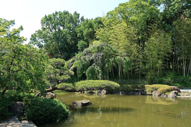 日本庭園を見に平塚総合公園(神奈川平塚市）へ行ってきました。<br />ここは野球場、スタジアム、体育館などもあり広く、その中に<br />日本庭園もありました。<br />よく清掃されており綺麗な感じでした。<br />駐車場も結構広く２時間まで無料で、それ以上は有料になってました。<br /><br />