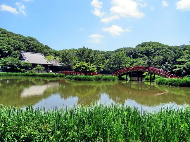 6月の○○会行事は、金沢文庫と日産自動車・追浜工場の見学会。<br />梅雨の晴れ間の一日、仲間8名で出かけました。<br /><br />京浜急行・追浜駅から2つ手前の金沢文庫駅で電車を降りて、20分ほど坂道を登って行くと、鎌倉時代中期に金沢郷(現在の横浜市金沢区)を本拠地とした北条氏の一族・金沢流北条氏の北条実時が創設した日本最古の武家文庫「金沢文庫」と、金沢流北条氏の菩提寺である「称名寺」があります。<br />名前だけは知っていた「金沢文庫」とはどんなものか興味がありましたが、現在は「神奈川県立金沢文庫」として、称名寺が所有する国宝や重要文化財など鎌倉時代のものを中心とした所蔵品を保管・展示する博物館になっていました。<br /><br />午後の追浜工場見学では、ベルトコンベアの上で車が組み立てられていく様子を見学しましたが、1つのラインで車種や色の違う車が次々と流れていく風景は躍動感があり、興味深いものでした。<br /><br />写真は、称名寺の境内に広がる阿字ヶ池と、池に姿を映す反橋・平橋・金堂。