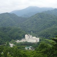 2019年6月神奈川県七沢森林公園を歩き､七沢温泉｢盛楽苑｣宿泊｡横浜の三渓園を見学し、中華街を歩き老舗の聘珍樓で夕食を戴きました。