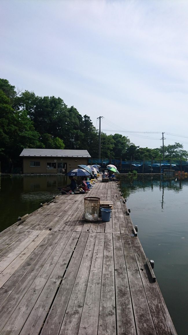 宮城県石巻市にあるヘラブナの管理釣り場「宮城弁天池」に釣りに行ってきました。<br />いつもはクルマで行くのですが、今回は電車釣行になりました。<br />釣りに、グルメに、乗り鉄と楽しんできました。<br />釣りはこの時期としては、渋い釣りでした。<br />