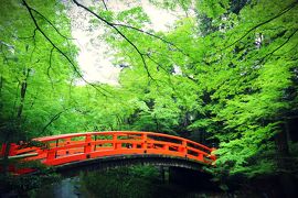 GW京都★まったり散歩 4日目☆あわ餅澤屋～北野天満宮 青もみじ～嵐山 編