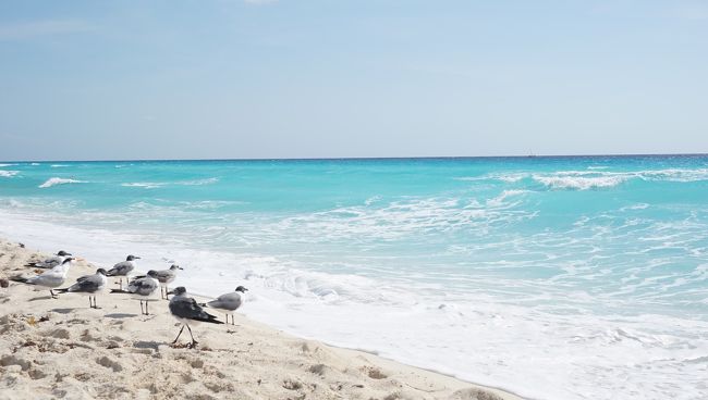 新婚旅行でメキシコカンクン～アメリカラスベガスへ行ってきました