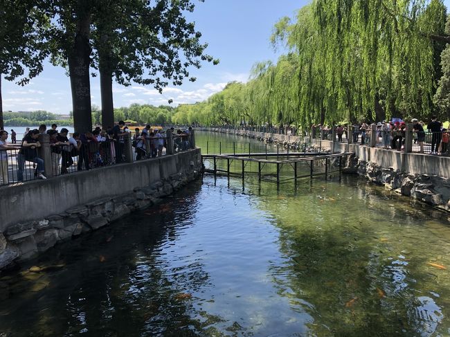 4泊5日の北京旅行<br />2日目、観光初日。朝からゆっくりして街歩きをしようと思っていたけれど、北海公園でほとんど1日が終わってしまった。<br /><br />2019.6月8日(土) 出発①https://ssl.4travel.jp/tcs/t/editalbum/edit/11505135/<br /> 6月9日(日)北海公園、鼓楼②=本旅行記<br /> 6月10日(月)慕田峪長城 ③<br /> 6月11日(火)故宮、前門 ④<br /> 6月日12(水)帰路 ⑤
