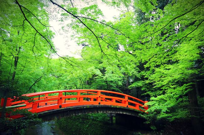 2019年ゴールデンウィークは10連休になるらしい!という噂を聞いた瞬間、<br />旅行するぞ!!と決意した私。<br /><br />今まで、GWは混むし高いし、と旅行した事はなく、<br />混雑具合を予想できず。。。<br />というか、今年はあちこちで渋滞予測や混雑予測がハズれていたので普段のGWとはまた違いましたね。。。<br /><br />旅先は海外も考えましたが、10連休でみんな海外に行くだろうし、<br />逆に国内が空くかも!?<br />あ!マリオットの統合でチャンス期間で少ないポイントでリッツカールトン京都に宿泊できる!<br />前々からゆっくり京都で過ごしてみたいと思っていたし、、、京都に決定!<br /><br />私の常として、泊まりたいホテルありきで旅先が決まるいつものパターン。<br />さらに、インテリア雑誌で見て以来泊まりたい!と思っていた、<br />古民家リノベ一棟貸しにも泊まろう!<br />という事で、5泊6日の京都旅行が決定です。<br /><br />結果、やはり京都はいつもより空いていたようです。<br />渋滞もなく、タクシーの運転手さんは「こんなに空いているのは久しぶり、走りやすくていいですわ~~」と言っておりました。<br />いや、まぁ、外国人も多いし混んではいるんですけどね。<br />桜シーズンや紅葉シーズンの混雑は想像するだけでげっそりですね。。<br />京都にお住いの方は大変そうだなぁ、、、。<br /><br />ということで、<br />こちらの旅行記は 4日目☆あわ餅澤屋~北野天満宮 青もみじ~嵐山 編です。<br />