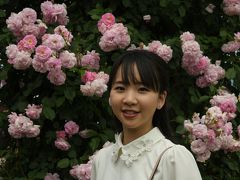 華麗です‘信州中野一本木公園薔薇まつり’