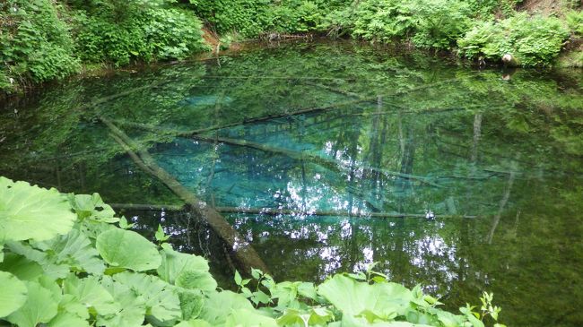 初夏の北海道を訪れました。ピーチで釧路空港を利用し、道東を観光しました。<br />ピーチが、去年の秋からKIXより釧路空港直行便を飛ばし始めたので行く事に決めました。<br /><br />釧路は、１４度ぐらいでしたが、上着を持っていくと、そこまでの<br />寒さは、感じませんでした。<br /><br />特に、何もせず、車を走らせて色々、景色のいい所を巡る旅でしたが、<br />本州では、見る事のできない、大自然の荒涼とした、風景に癒されました。<br /><br />デジカメが古いので、美しい景色をきれいに写せなかったのが、残念です。<br /><br />表紙は神の子池です。