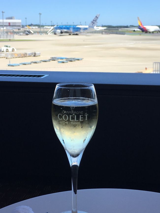 SFC会員のステータスしかない私ですが、ANA特典航空券を使ってファーストクラスに初搭乗しました。頑張ってマイルを貯めた甲斐がありました!<br /><br />すでにビジネスクラスは体験済みでしたが、ビジネスクラスとは、やはり違う特別感。またマイルを頑張って貯めよう!と思える搭乗でした。成田空港到着、チェックイン、スイートラウンジからレポートしています。