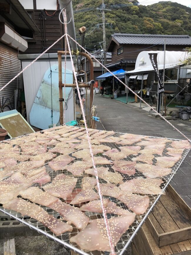 平成最後の旅行を計画しながら、何処に行こうか行先を検討した結果、昨年、世界文化遺産に登録された「長崎・天草地方の潜伏キリシタン関連遺産」のうち、街並みに風情が残る「天草の崎津集落」に行くことにしました。<br /><br />早々、大阪伊丹空港から福岡の博多空港に向かい、その後は、福岡在住の親戚宅に前泊し、その次の日の3月30日、車で高速道路を移動しながら、天草に入り、崎津集落などなどの観光をしながら宿からサンセットが望める1泊2日の小さな旅を満喫しました。<br /><br />旅行記表紙写真は、世界文化遺産の風情ある「崎津集落」内の光景です。