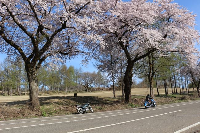 春の桜をまとめてみました。<br /><br />今年は、4月1日東京から始まって、GWまで桜を見ることができました。<br /><br />4月6日~21日に行ったお花見の写真です。